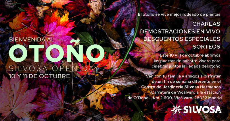 silvosa open day vivero madrid
