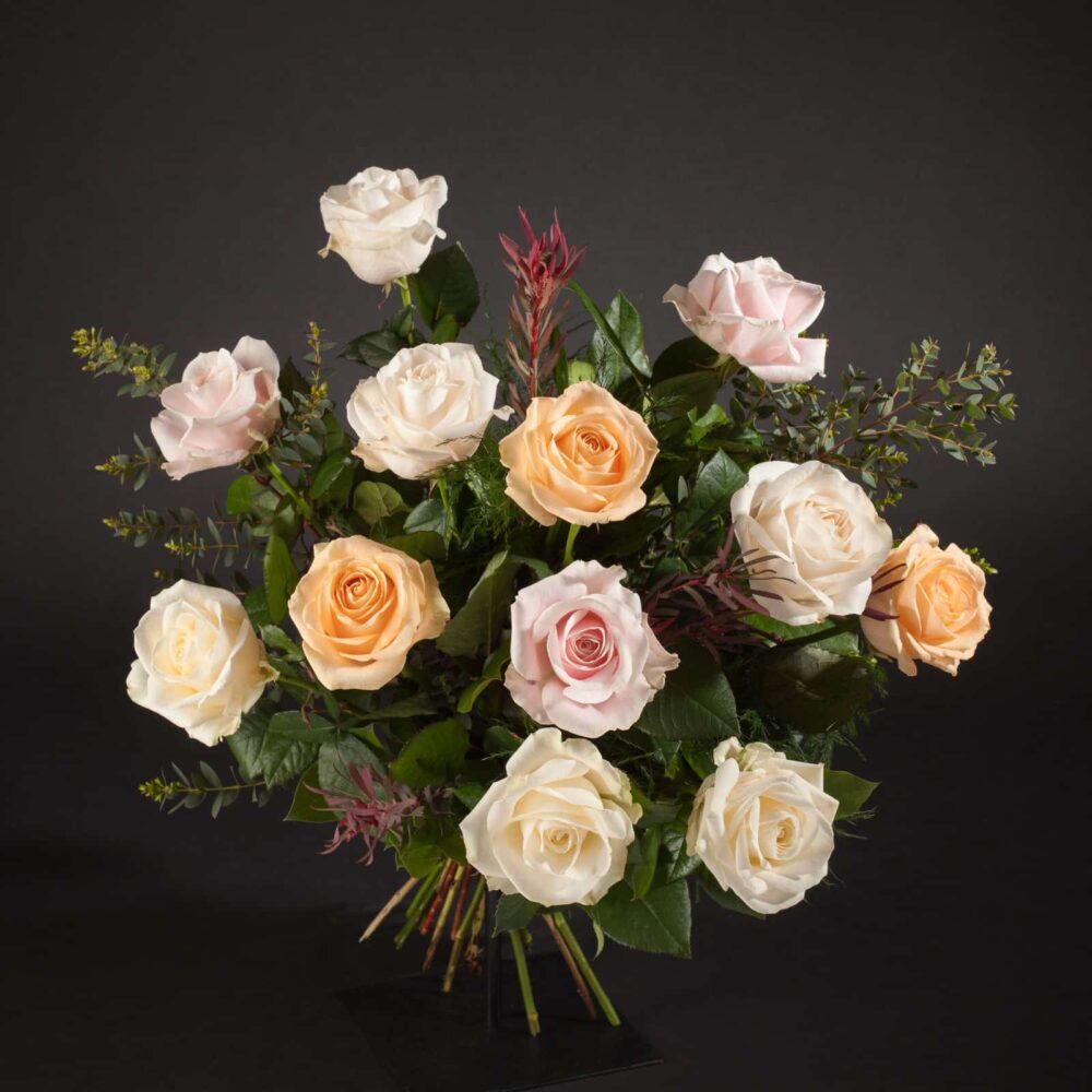 rosa avalanche mix
