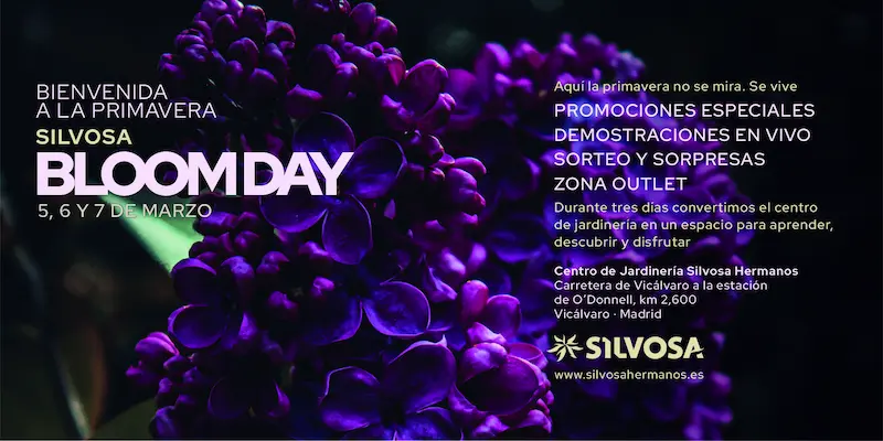 silvosa bloom day