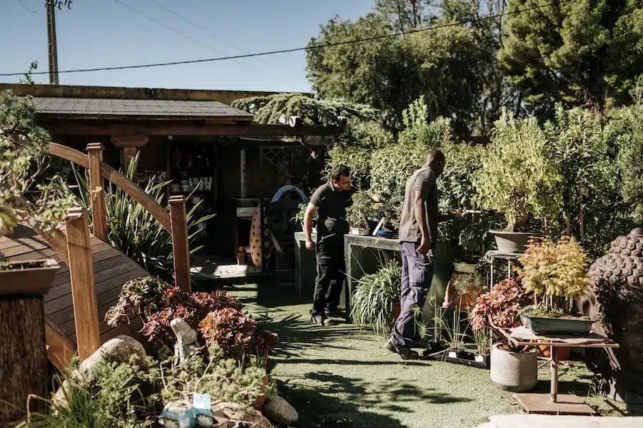 centro de jardineria