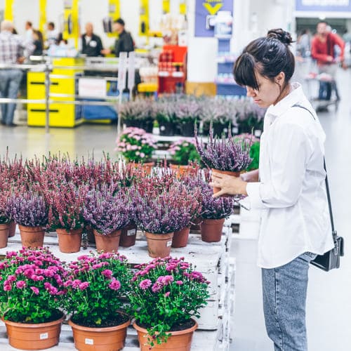 donde es sostenible comprar flores y plantas