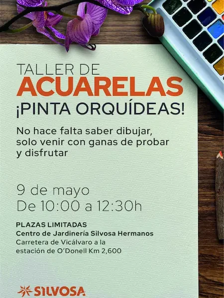 Taller acuarela