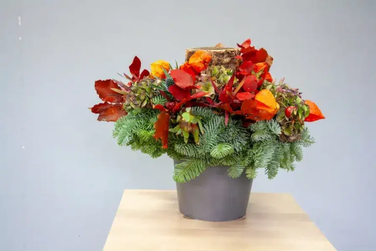 decoracion de navidad con planats naturales