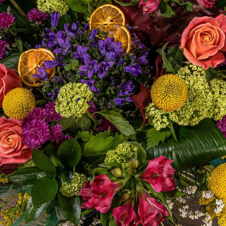 flores y plantas de temporada