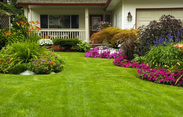 diseño profesional de jardines en silvosa hermanos