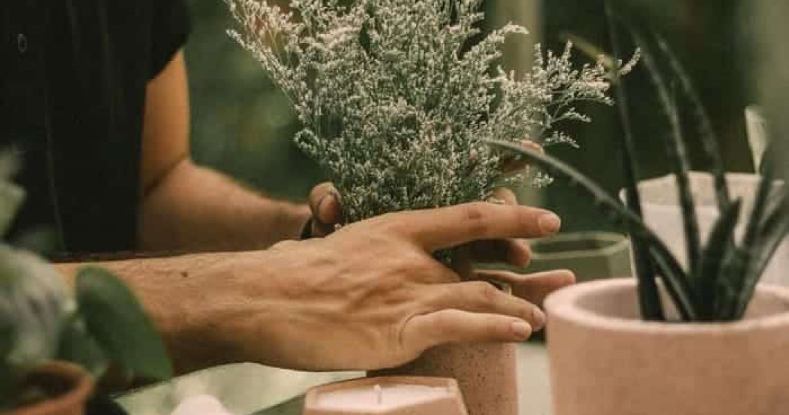 florista preparando plantas para regalar