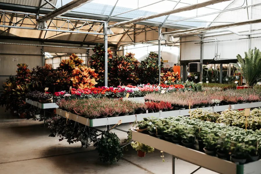 garden center silvosa