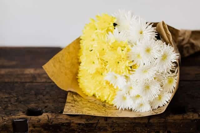 ramo blanco y amarillo de flores crisantemo