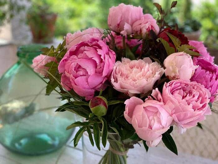 ramos de peonias para novia