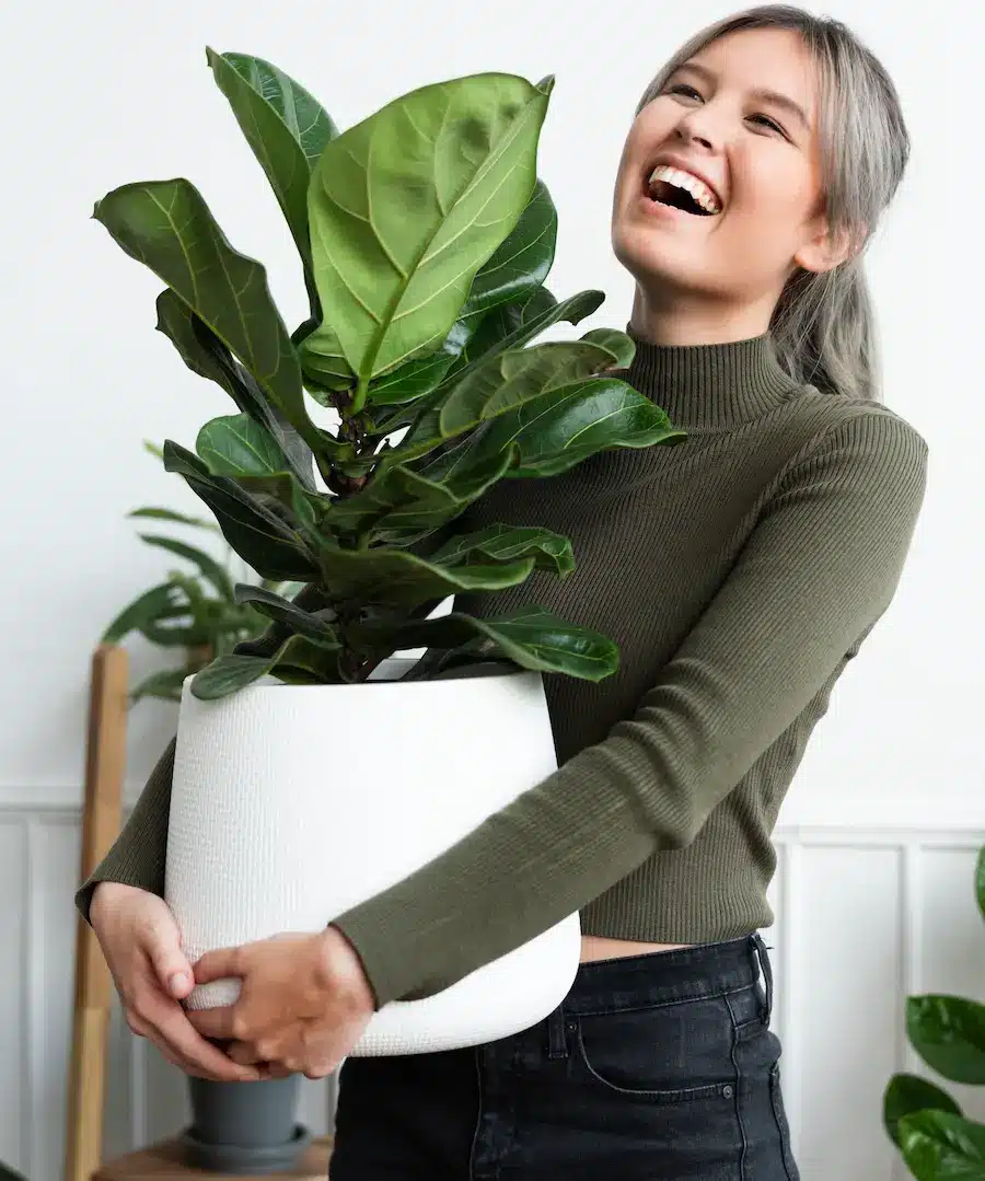 regalar plantas cumpleaños