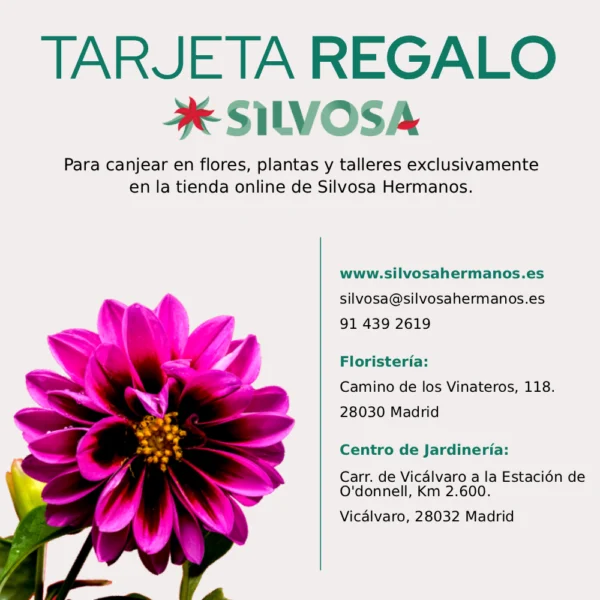 tarjeta regalo silvosa hermanos