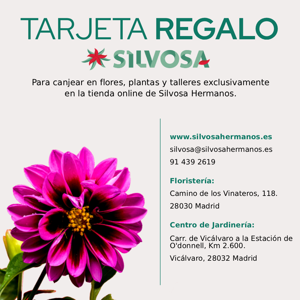 tarjeta regalo silvosa hermanos