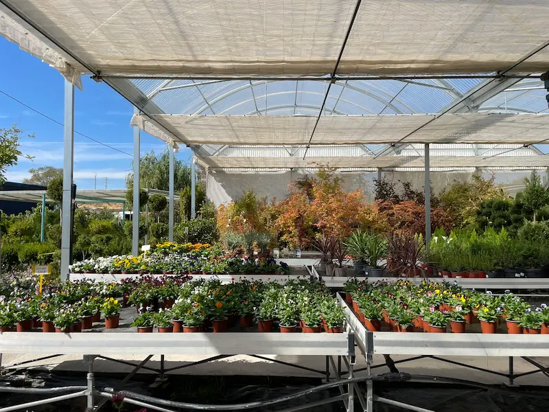 vivero en otoño
